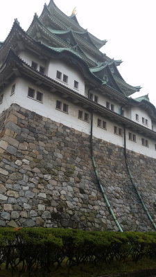 20151011_114859.jpg