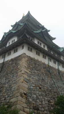 20151011_115041.jpg