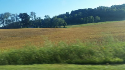 20150914_180704.jpg