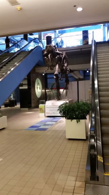 20150916_113909.jpg
