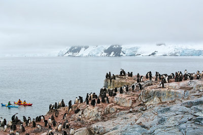 Antarctica-0542.jpg