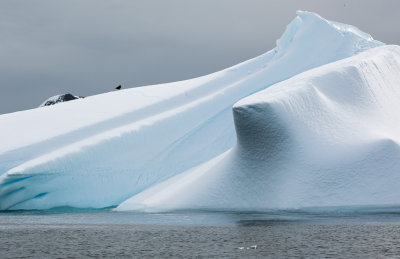 Antarctica-1358.jpg