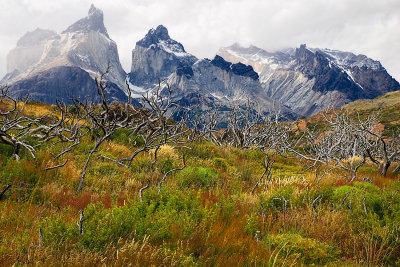 Patagonia-0388.jpg