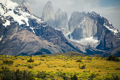 Patagonia-1531.jpg