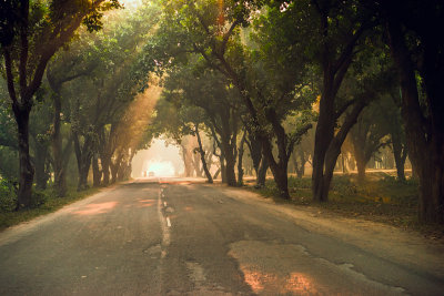 Bandhavgarh-1946.jpg