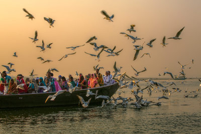 Varanasi-7365.jpg