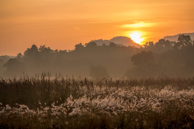 Bandhavgarh-7746.jpg