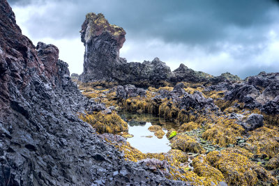 Iceland-2749-1.jpg