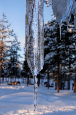 Lapland-00056.jpg