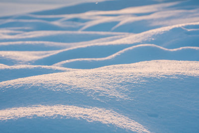 Lapland-0037.jpg