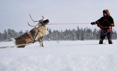 Lapland-0073.jpg