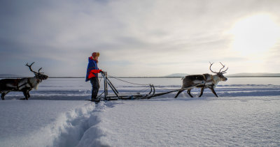Lapland-0146.jpg