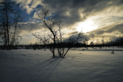 Lapland-0372.jpg