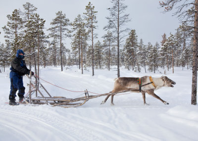 Lapland-9077.jpg