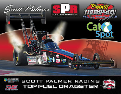 Scott Palmer 2017 Top Fuel