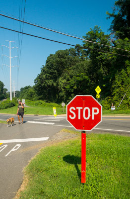 WO&D Trail at Shreve Road