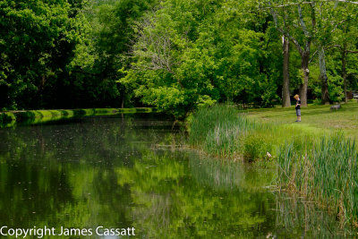 Along the C&O Canal