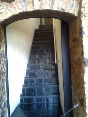 20130528_142941.jpg