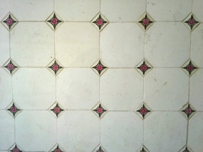 20130527_110613.jpg