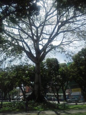 20130528_123633.jpg