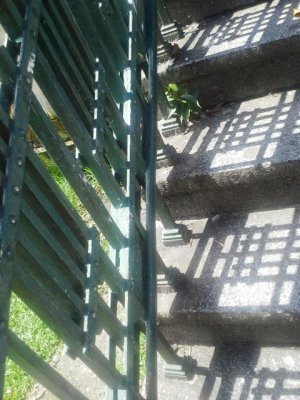 20130528_123802.jpg