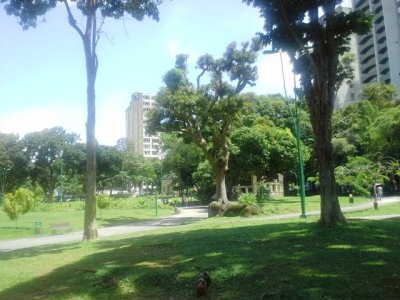 20130528_124103.jpg