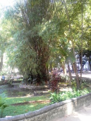 20130528_124209.jpg