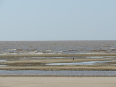 DSCN6210.JPG