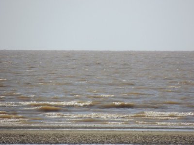 DSCN6214.JPG