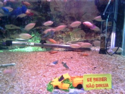 20130803_082809.jpg