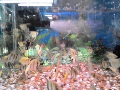 20130803_082815.jpg