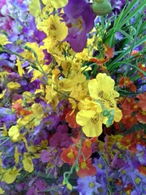20130803_082954.jpg