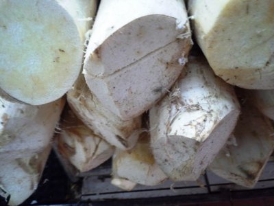20130803_083608.jpg