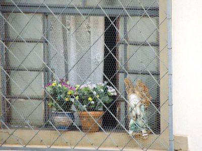 DSCN9735.JPG
