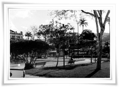 000016-pb.jpg