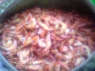 20140422_175426.jpg