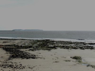 DSCN9405.JPG