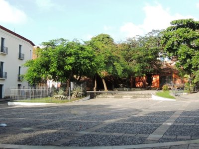 DSCN9449.JPG