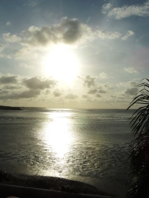 DSCN9541.JPG