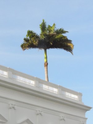 DSCN9556.JPG