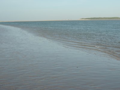 DSCN0095.JPG