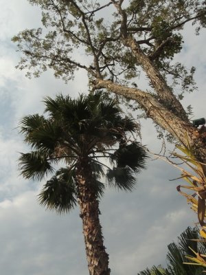 DSCN0094.JPG