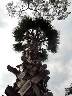 DSCN0104-ajustadas.JPG