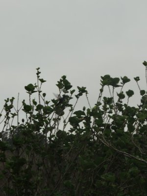 DSCN0327.JPG