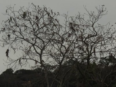 DSCN0340.JPG