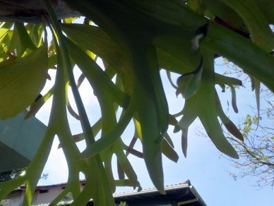 20141024_150815-ajustadas.jpg