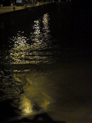 DSCN9252-ajustadas.JPG