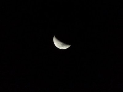 DSCN9290.JPG