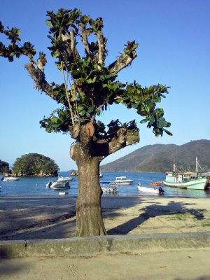 20141029_173345-ajustadas.jpg