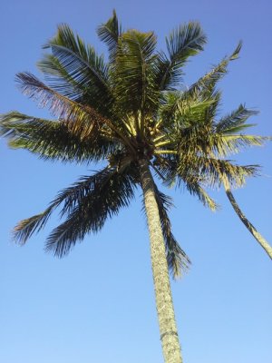 20141029_173617.jpg